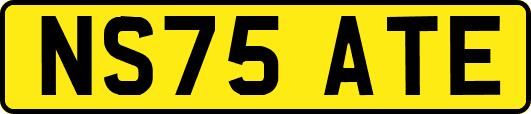 NS75ATE