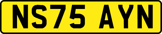 NS75AYN
