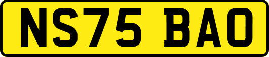 NS75BAO