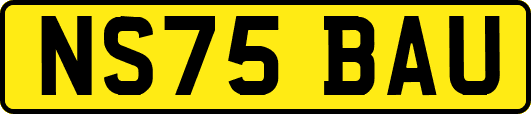 NS75BAU