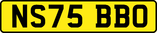 NS75BBO
