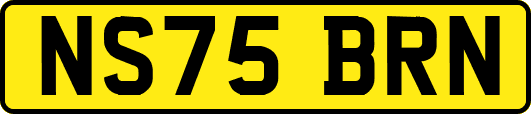 NS75BRN