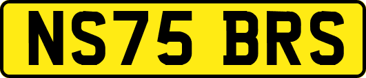 NS75BRS