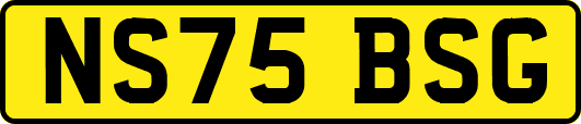 NS75BSG