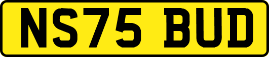 NS75BUD