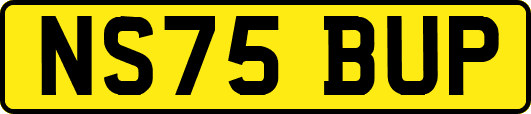 NS75BUP