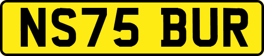 NS75BUR