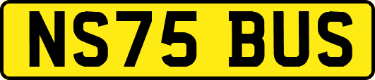 NS75BUS