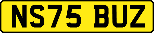 NS75BUZ