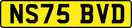 NS75BVD