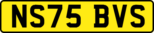 NS75BVS