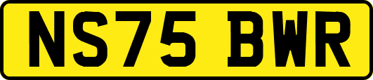 NS75BWR
