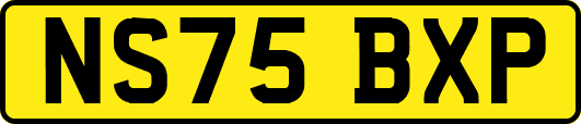 NS75BXP