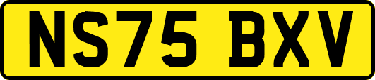 NS75BXV