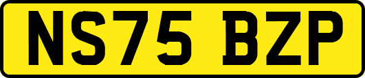 NS75BZP