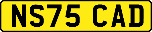 NS75CAD