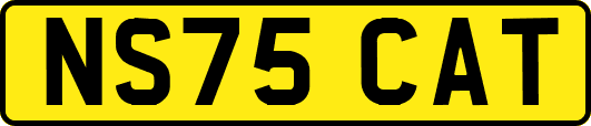 NS75CAT