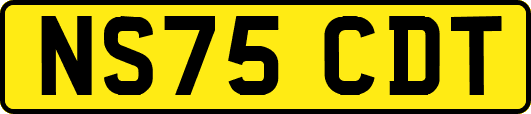 NS75CDT