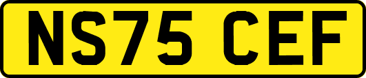 NS75CEF