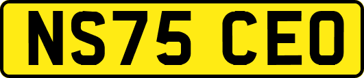 NS75CEO