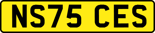 NS75CES
