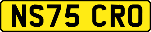 NS75CRO