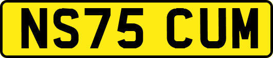 NS75CUM
