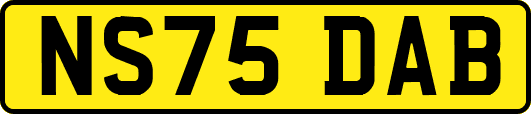 NS75DAB