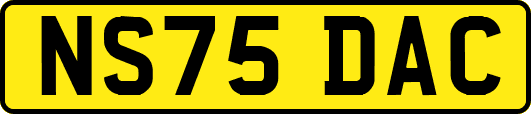 NS75DAC