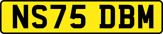 NS75DBM