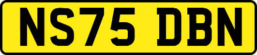 NS75DBN