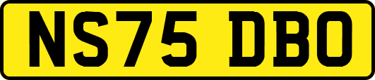 NS75DBO