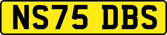 NS75DBS
