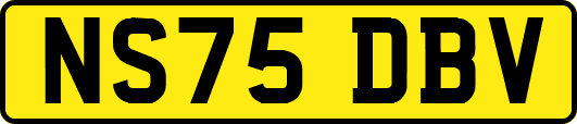NS75DBV