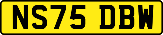 NS75DBW