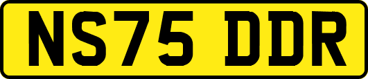 NS75DDR