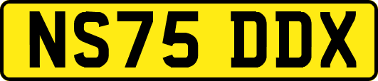 NS75DDX