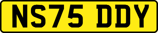 NS75DDY