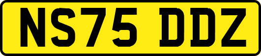 NS75DDZ