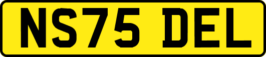 NS75DEL