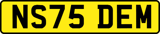 NS75DEM