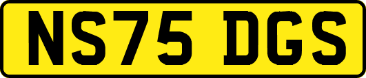 NS75DGS
