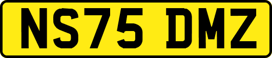 NS75DMZ