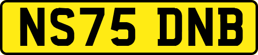 NS75DNB