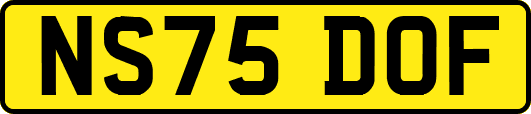 NS75DOF