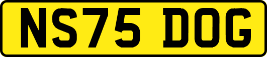 NS75DOG