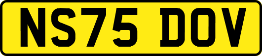 NS75DOV