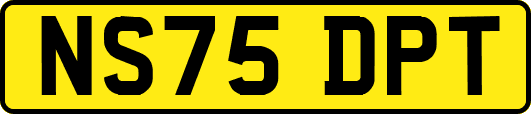 NS75DPT