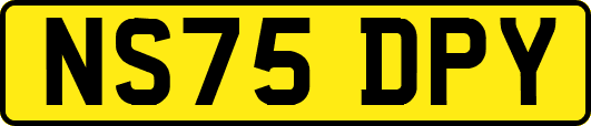 NS75DPY