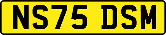 NS75DSM